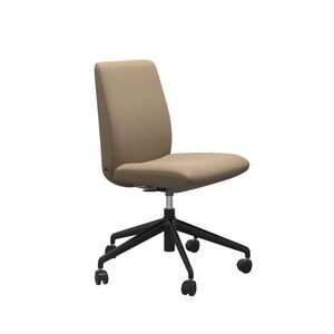Large Low Back Dining Chair Without Arms - Home Office