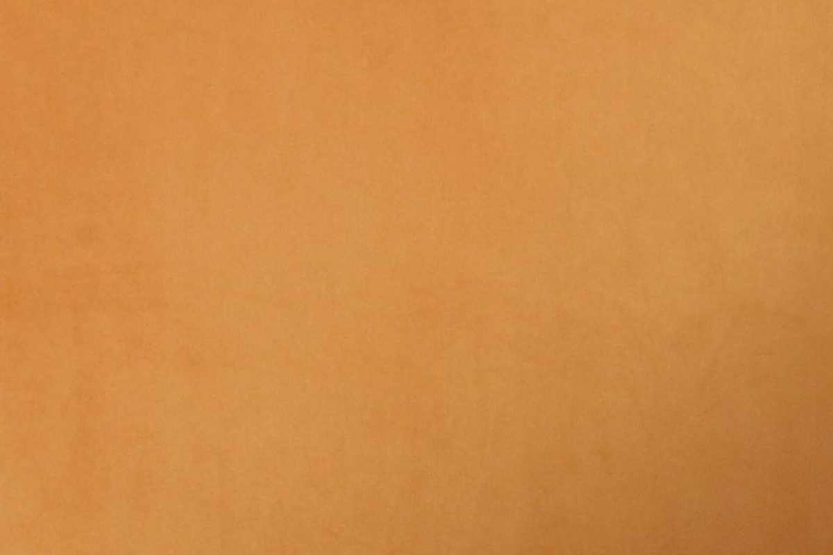Lni-321-MS.png